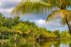 French Polynesia- Tahaa. Tropical lagoon and jungle. Coastal Print